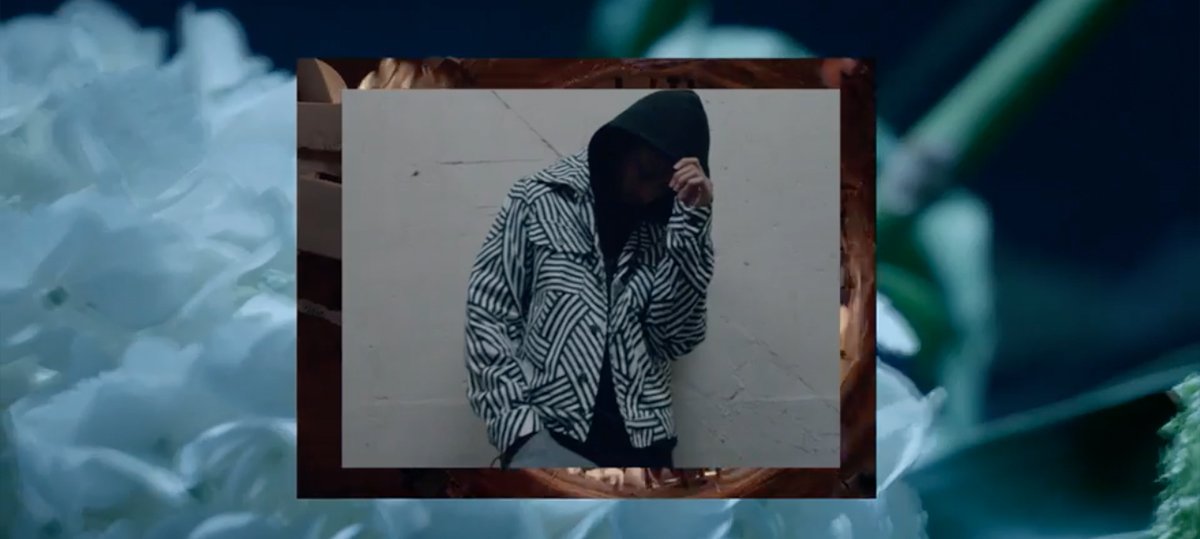 Camerap.fr | Le site tweet media