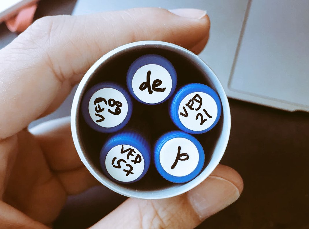 NDissmeyer's tweet photo. Arp shooting again with the 'silver bullets of cyclin-dependent #kinases' @Annika_Weimer @Hiro_HARASHIMA
#hypomorph #phosphomomicry #dler https://t.co/qjIXTus5CP