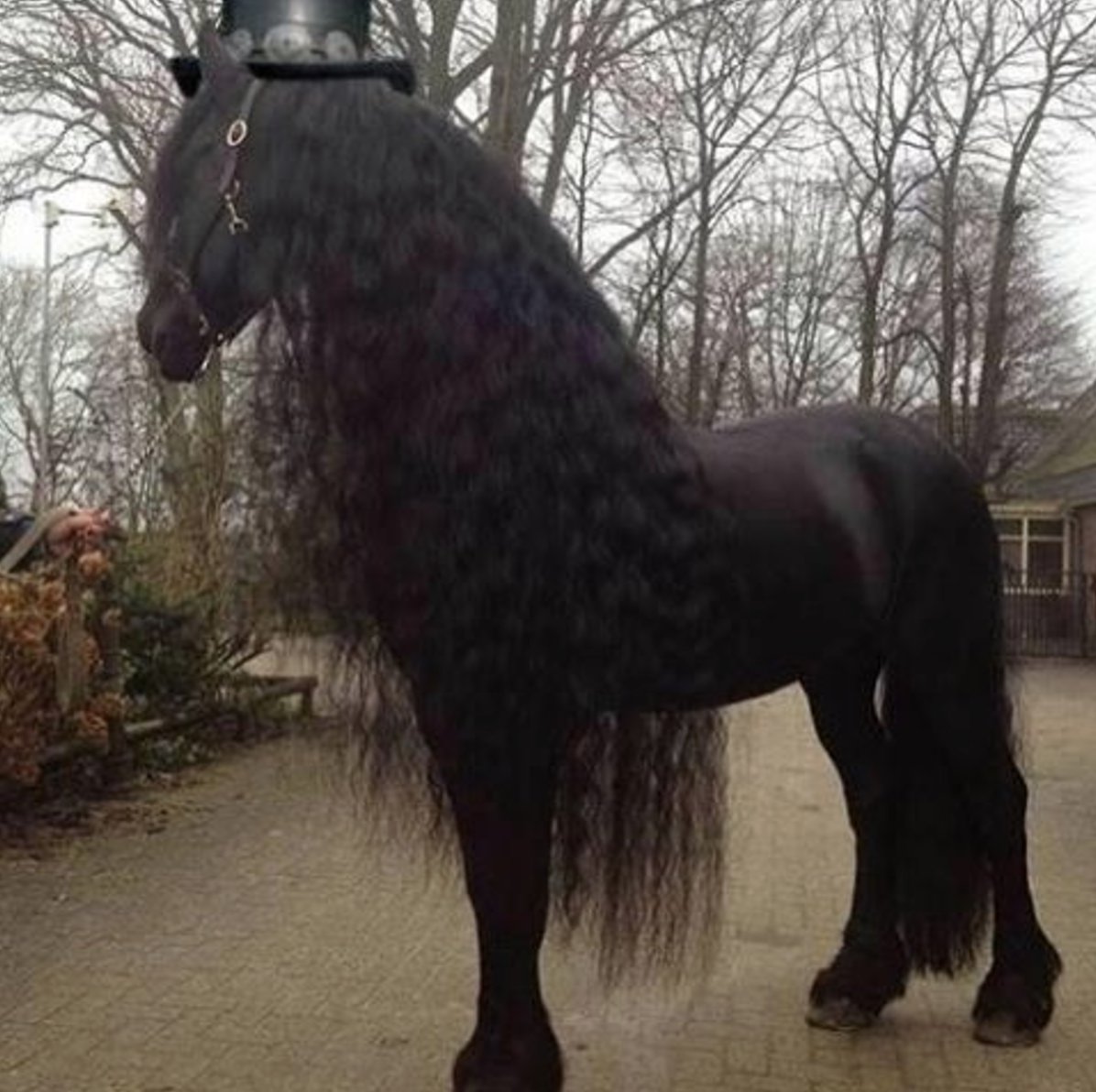 My Little Pony....Slash edition. F#*king gorgeous!