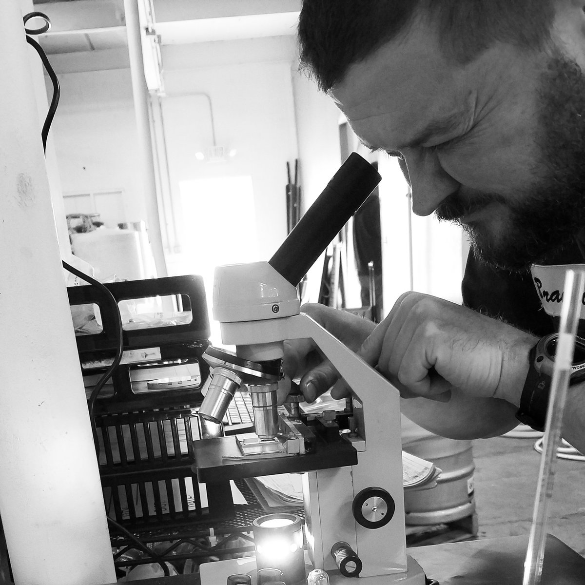 wolverinebeer's tweet image. #cellcount #mondaymotivation