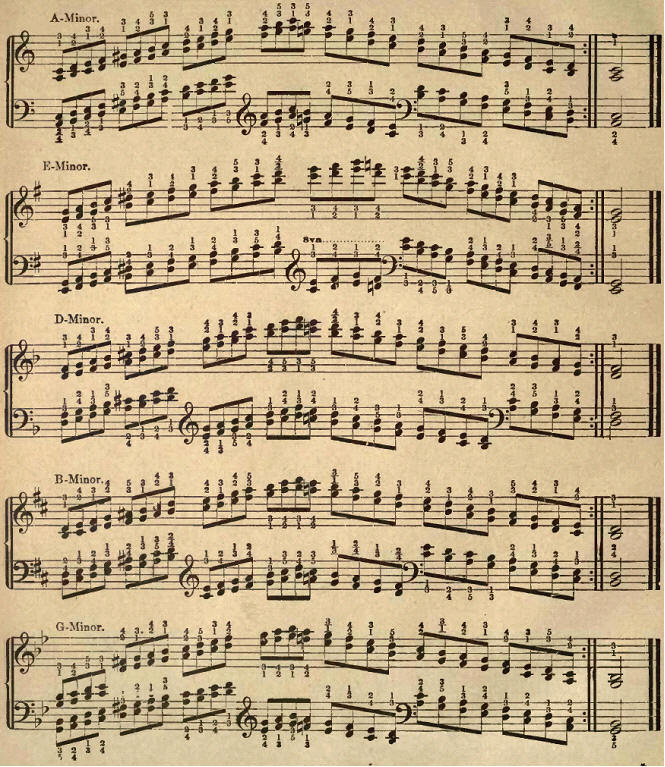 AdvisingFSU's tweet image. Do you love music? Consider a Music minor at Framingham State! ow.ly/o2C730aj9I4