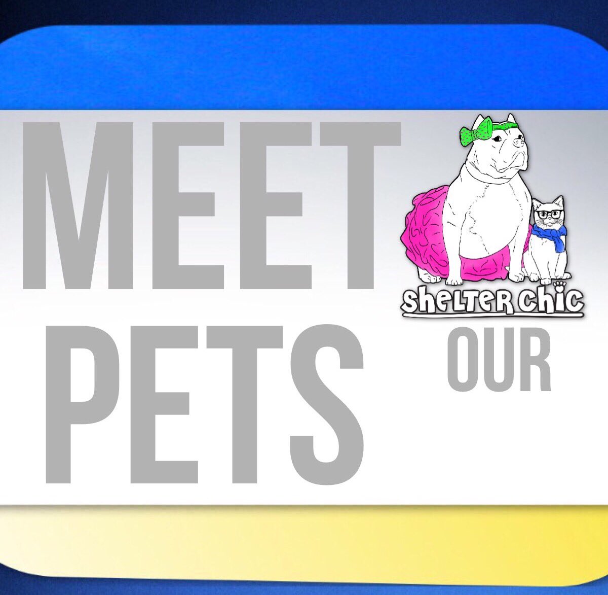 RubyandJacks's tweet image. We're hosting a @ShelterChic fundraiser on Sunday April 23rd from 6-8pm! Come meet the pets!!!