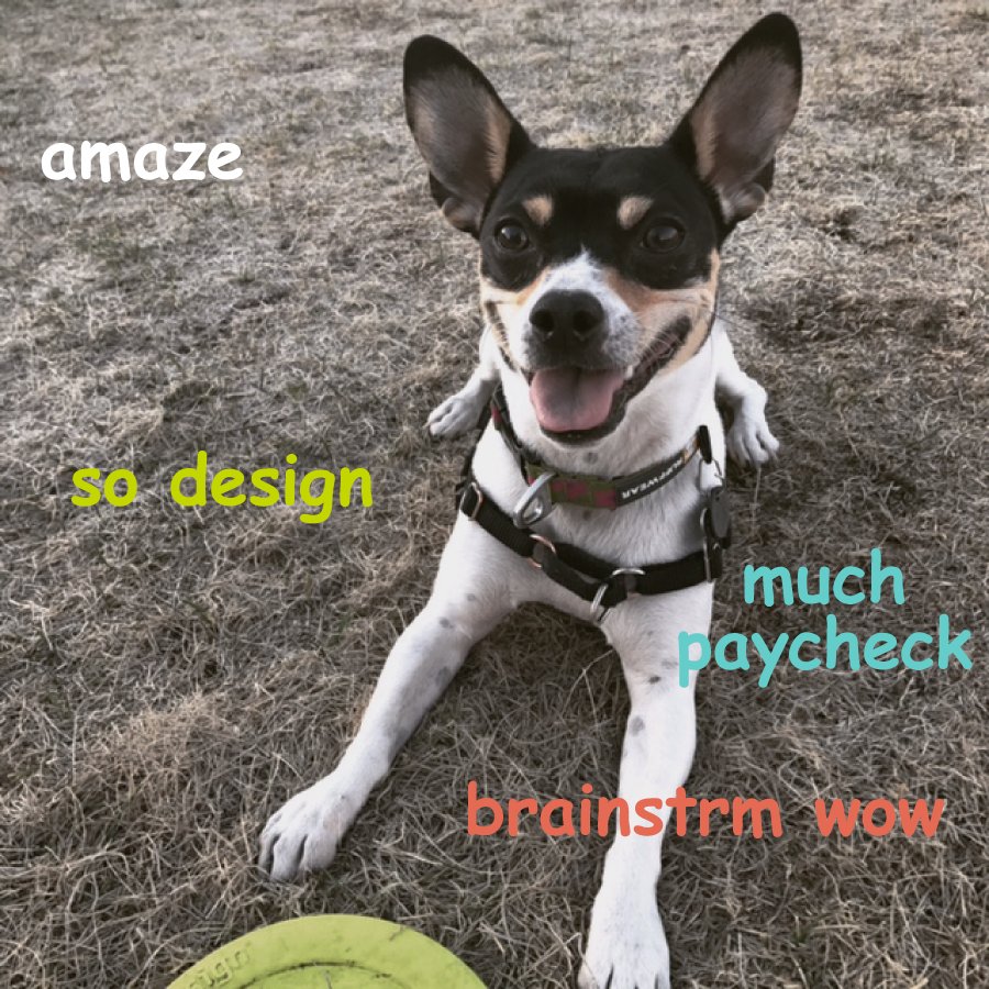 AOR_Inc's tweet photo. Lots of pups and real work you say?? Apply for our inaugural internship program by April 14! #internoffrecord https://t.co/ktRp0wPbYU