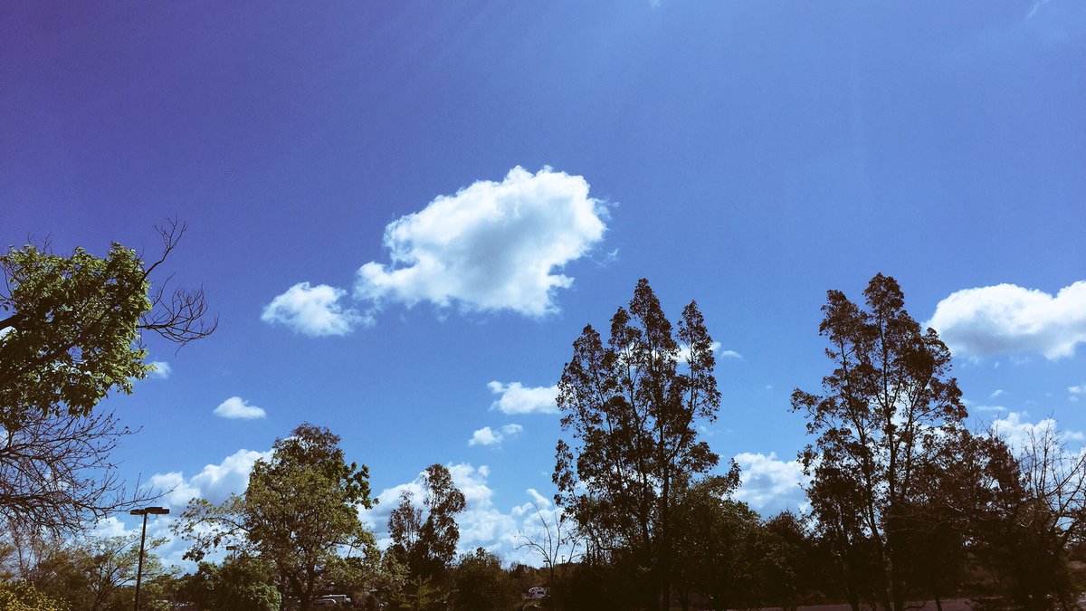 KPbewelldoc's tweet image. ☀Sometimes, all what it takes to lift the #mood is a fresh #Spring breeze!
If you can, go outside 3x daily!
    #MentalHealth💐