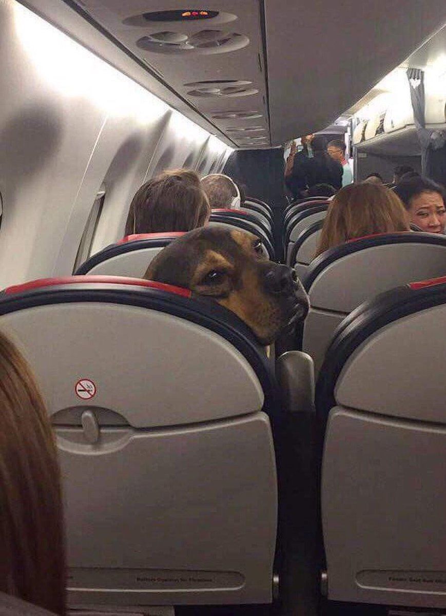 "Tell your kids to stop kicking my seat.."