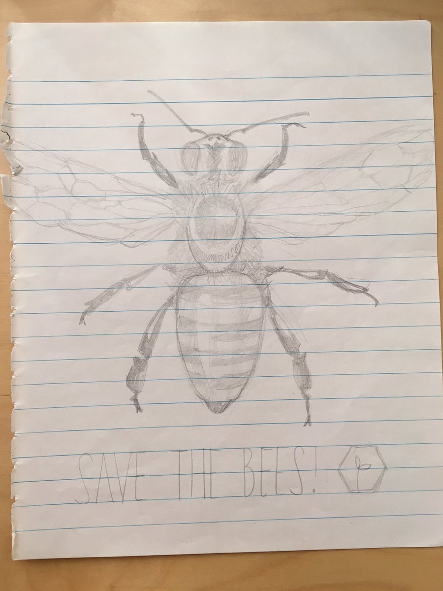juliettedraws's tweet photo. Save the bees, they need ur help!!! 🐝🐝🐝 https://t.co/0zBhZNRibH