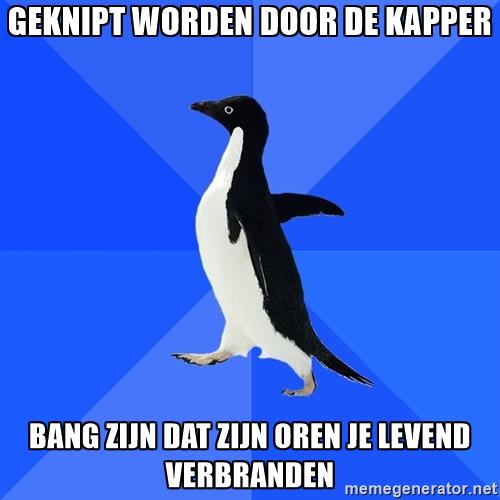 Herman brusselmans tweet media
