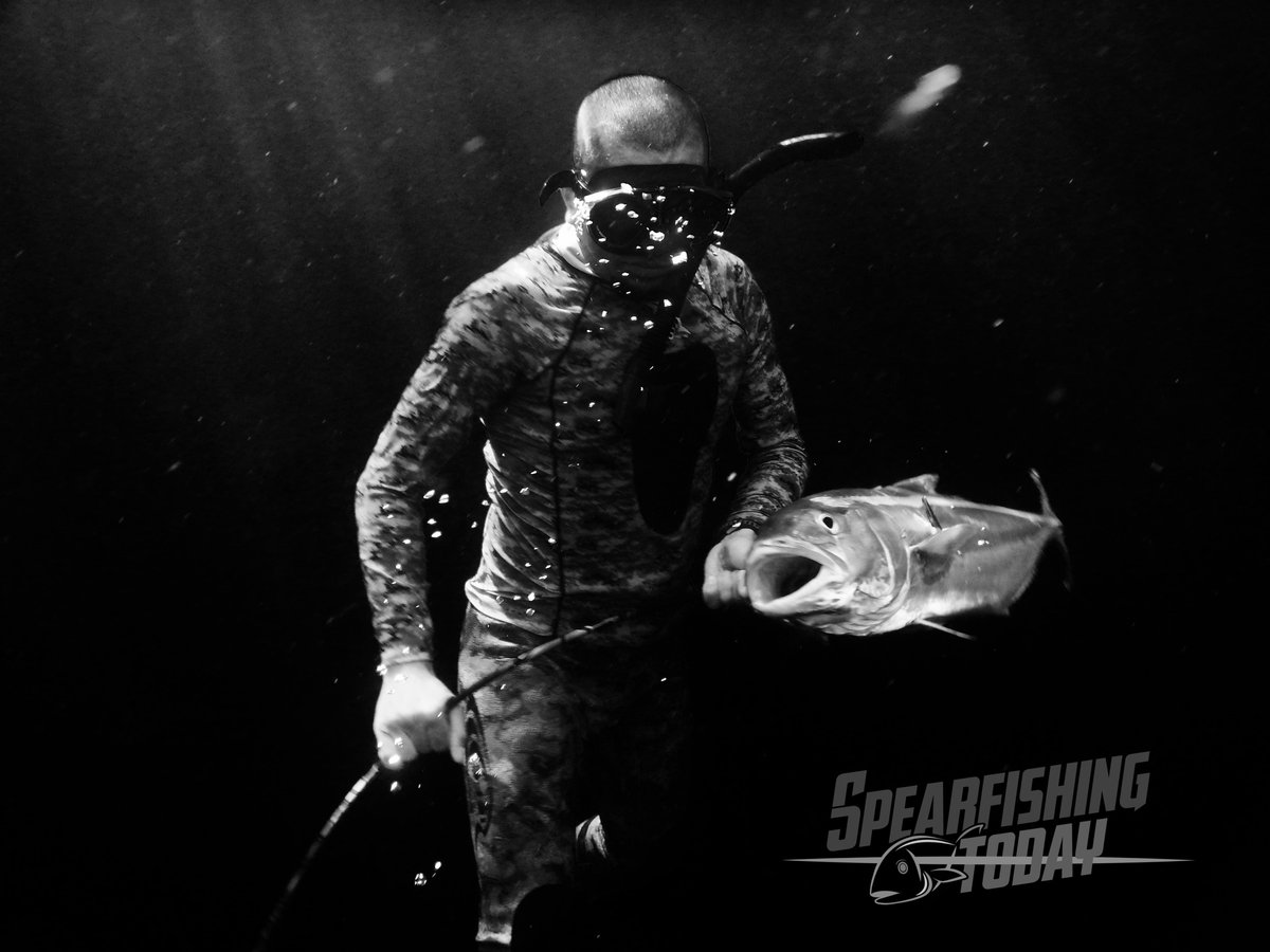SpearfishingTdy's tweet photo. We teach you how to spear fish in a safe and adventurous way. #Cancun #Cozumel #PlayadelCarmen #Tulum #Spearfishing https://t.co/rQE2wz6pej https://t.co/9FHZJIbyoT