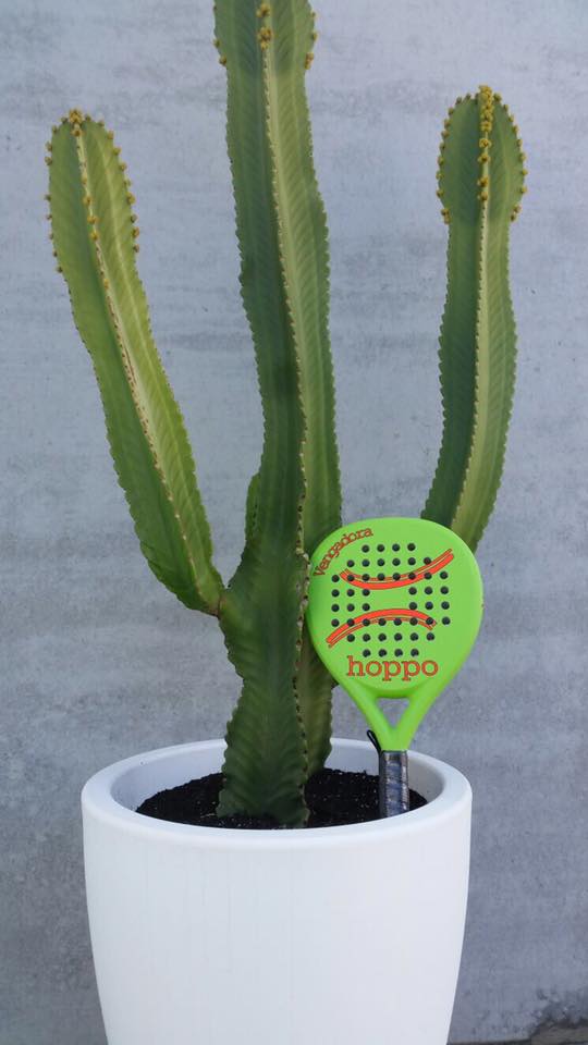 Y llega de nuevo Vengadora! Esta vez en verde y naranja!
Diferentes pesos!
Aún no la probaste!!???
#hopposport #hoppo #design #padel