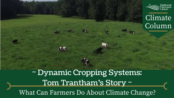 NFUDC's tweet photo. Dynamic cropping systems give Tom Trantham the ability to handle weather variability and extremes https://t.co/lmPCz326cA #ActOnClimate https://t.co/4IQcH9sXIb