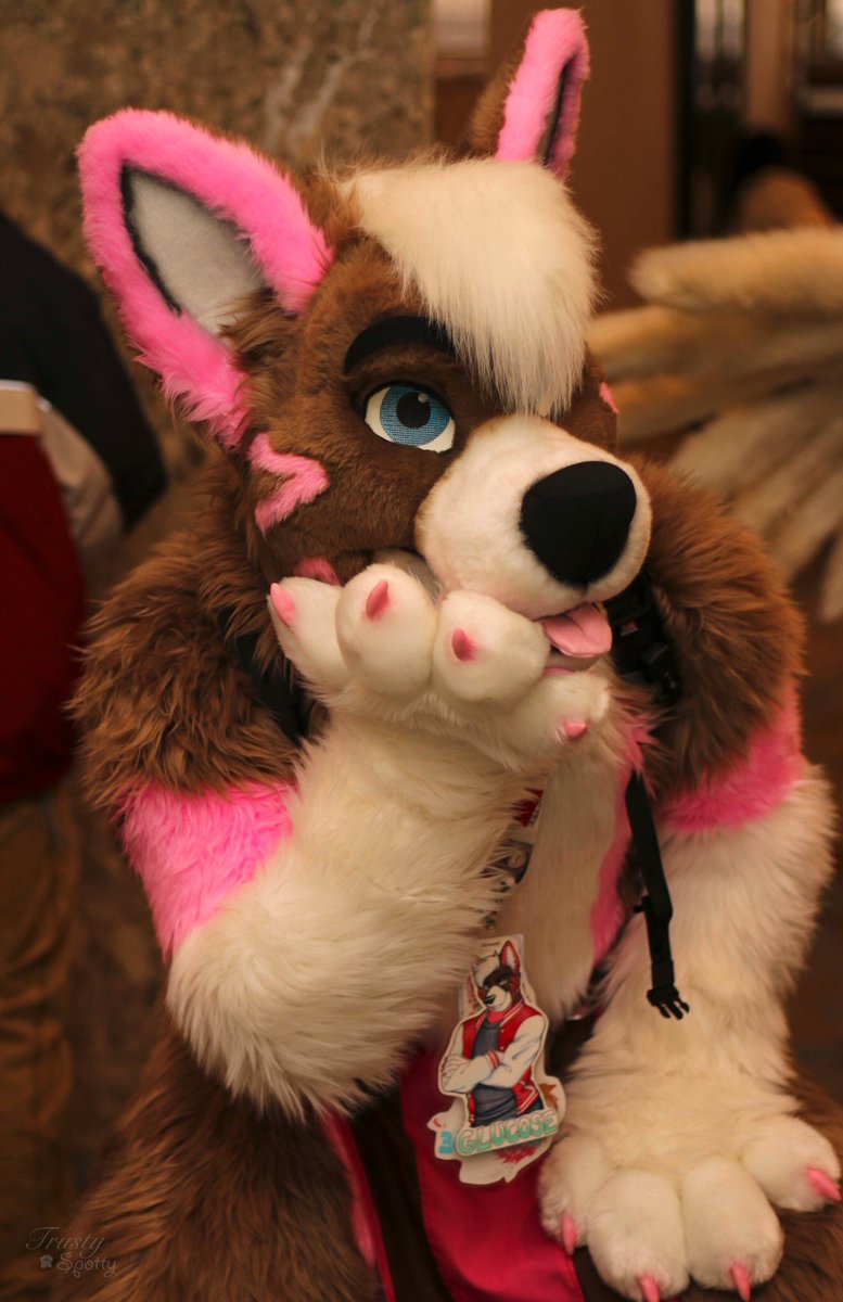 GlucoseTheBear's tweet photo. Oh looky here, it's #MadeFurYouMonday y'all. I'm just a pondering puppy.🍦💖

📸Pic by the amazing: @TrustySpotty! https://t.co/LzWG3AENyW