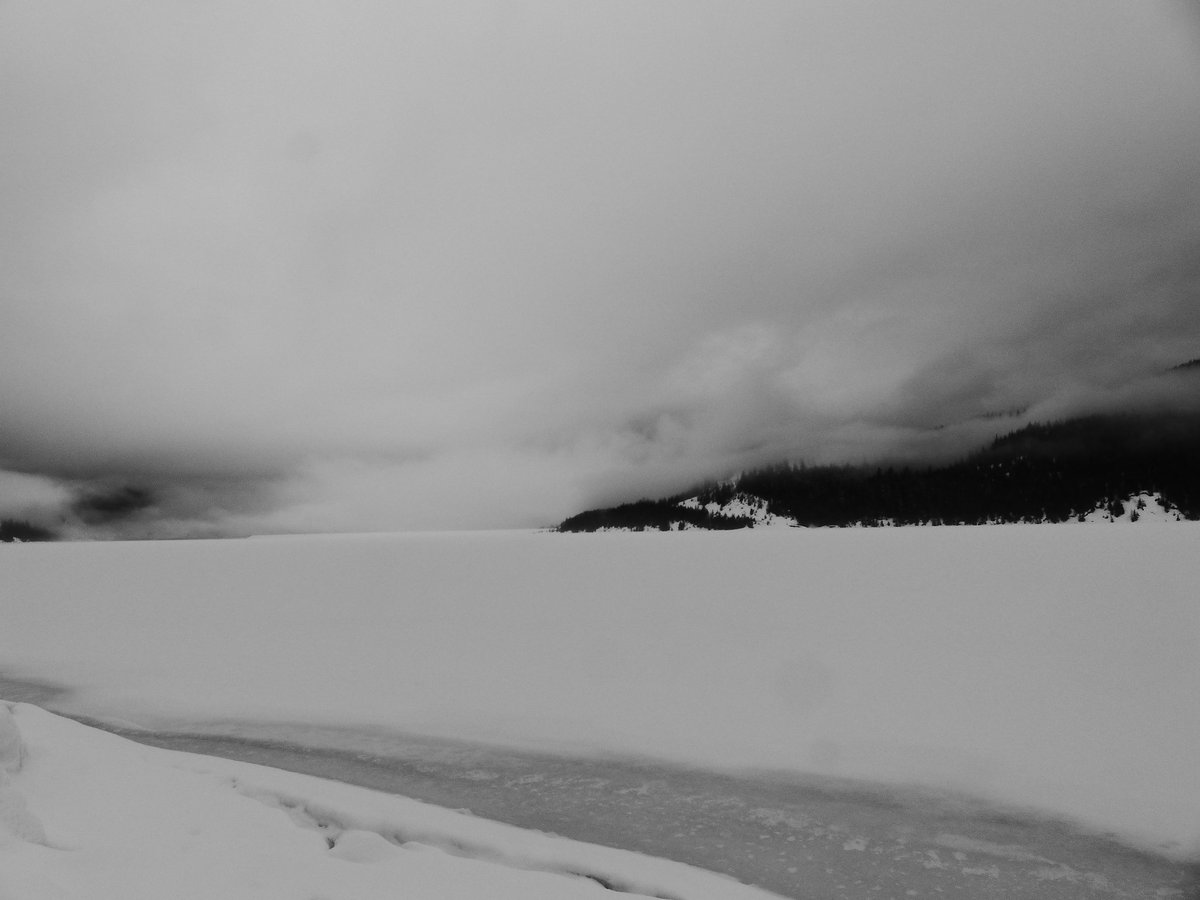 TheRedFisher1's tweet photo. Chained to Grey
A prisoner of March yet free to roam
#photography #blackandwhitephotography #MarchIntoApril #nature #peace #Lumix #Leica https://t.co/kVwlLsfQB5