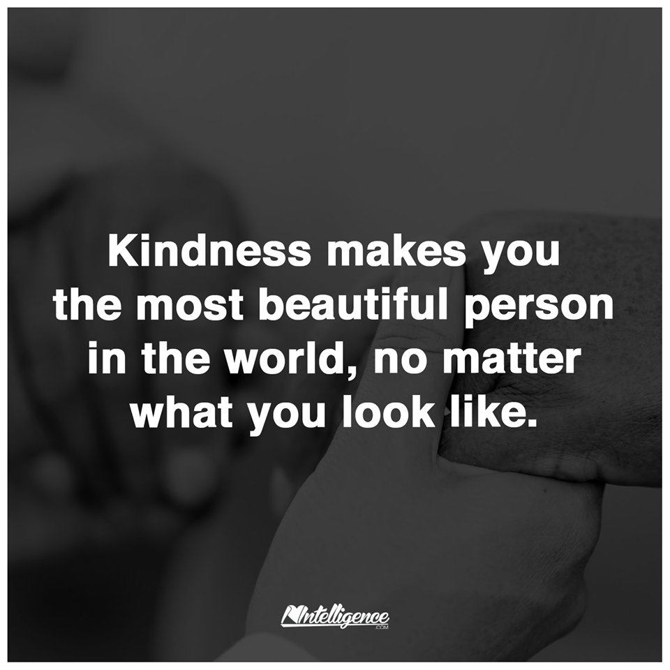 tommychong's tweet image. Stay kind.