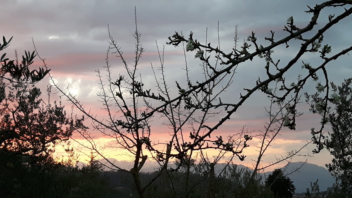 Quando si mettono insieme le nuvole, i monti dell'Appennino, i fiori del pruno e gli ultimi raggi del sole, si ha un tramonto così