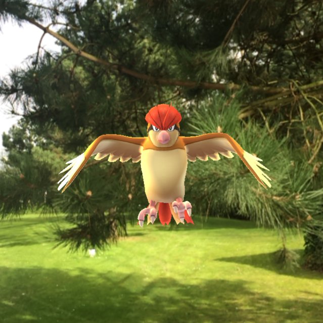 DomWolves's tweet photo. Roucoups https://t.co/HMAb7ZgZ8D #PokemonGo #PokemonGoPhoto https://t.co/8ZOAPJDVM8
