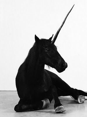Jessicia16's tweet photo. I always said I would get a unicorn lol 😂😂. #unicorns #love #mystical https://t.co/LR7clRPqRo