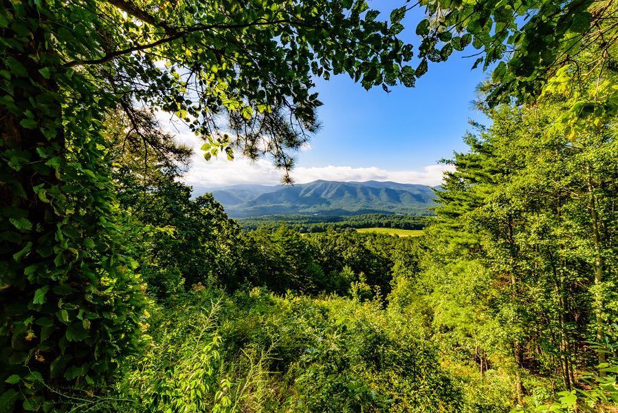 LarryTyner1's tweet photo. Cades Cove from Rich Mtn Rd. #photography #GSMNP https://t.co/P5w85ceQIv https://t.co/h1uHicBxzI