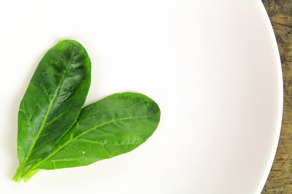 DiscoverMag's tweet photo. Researchers turn spinach leaves into beating heart tissue: https://t.co/P1c4CVu8xV https://t.co/cBADqy8w5i