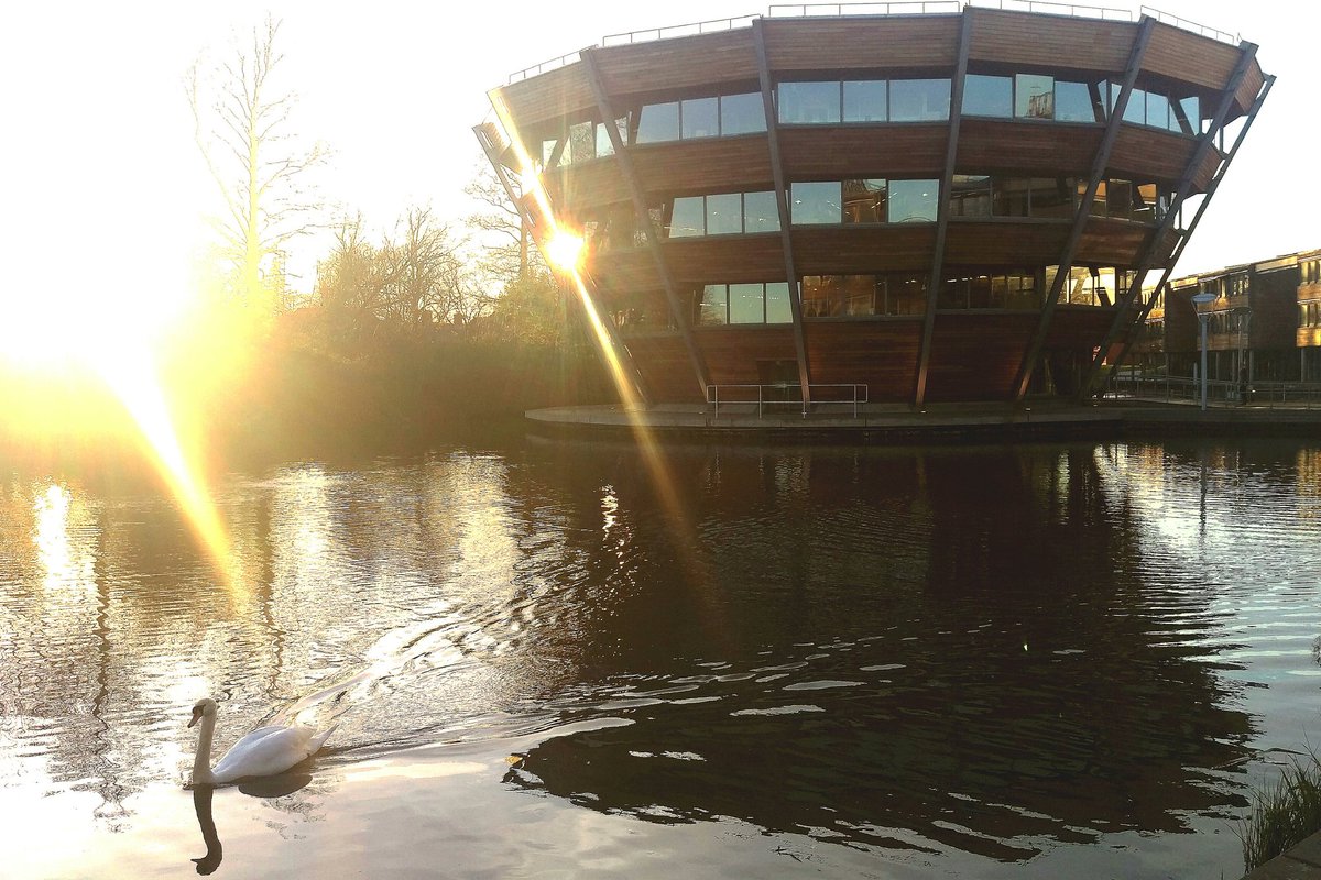 TimothyNineham's tweet photo. #BeastsofUoNphotocomp  Swan breaking the reflection of Djangoly Resource Centre on Jubilee https://t.co/Wqt1RtyrRi