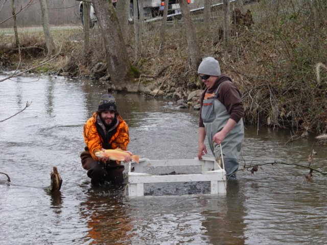 chesapeakebay's tweet photo. PA @fishandboat Comm stocks 3.15 mil adult trout in 720 streams &amp; 120 lakes open to public angling #KeystoneTuesday https://t.co/h0wBJxKtmi