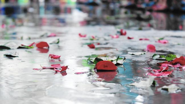 Learning what sorrow looks like when joy is allowed to sit next to it fw.to/e9puvih