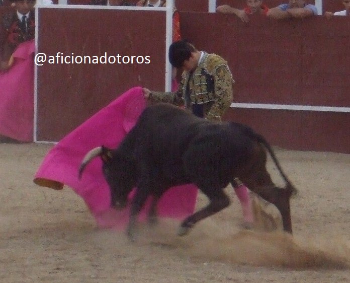 aficionadotoros's tweet photo. @aarontoroos con un eral de Alejandro Vázquez. Cazalegas 2016 https://t.co/0ybgrXVwTI