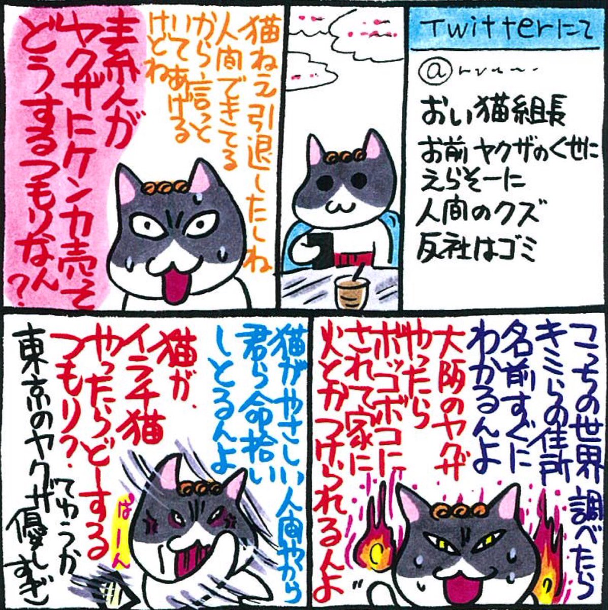 組長 猫 猫組長とは、本名は菅原潮で出身大学は中退していた。ツイッターを駆使して内情暴露していた。