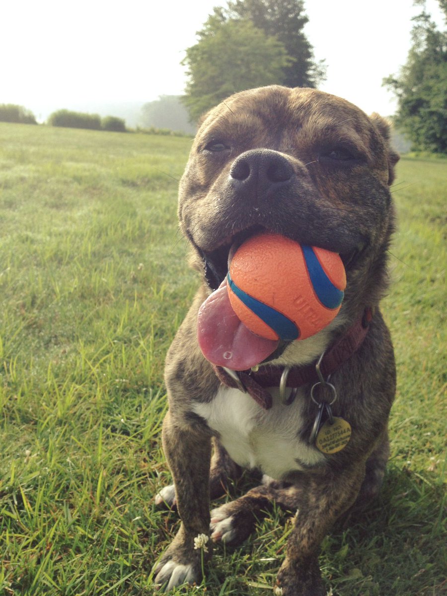 Pls consider contributing, &amp; say hi on <a href="/LinkedIn/">LinkedIn</a> if you like. Rarely there but giving it a shot. Bonus: Mario pic! 
linkedin.com/hp/update/6252…