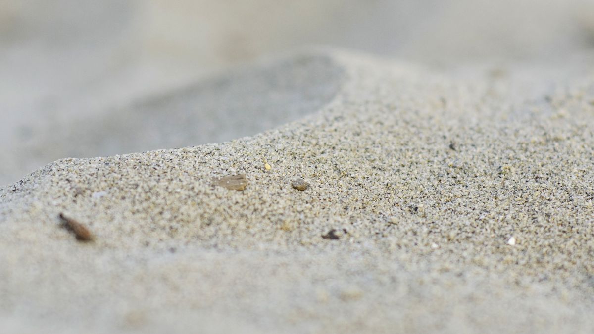 TheOnion's tweet photo. Depressed Crab Stays Buried Under Sand Until 2 P.M. https://t.co/RcWPjfNASA https://t.co/g3PobgSFcv