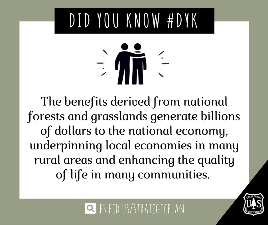 MooreCharitable's tweet photo. #DidYouKnow #MooreForests #ForestHealthMonth https://t.co/Imbtf1o8Pf