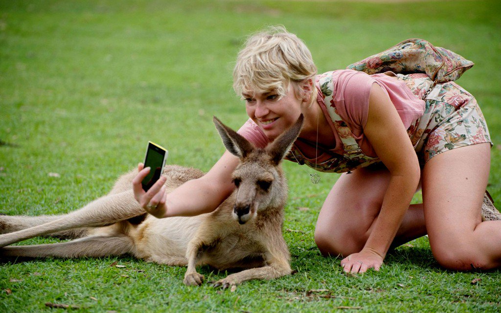 We're begging you: stop taking selfies with wild animals: tandl.me/2ntneSj
