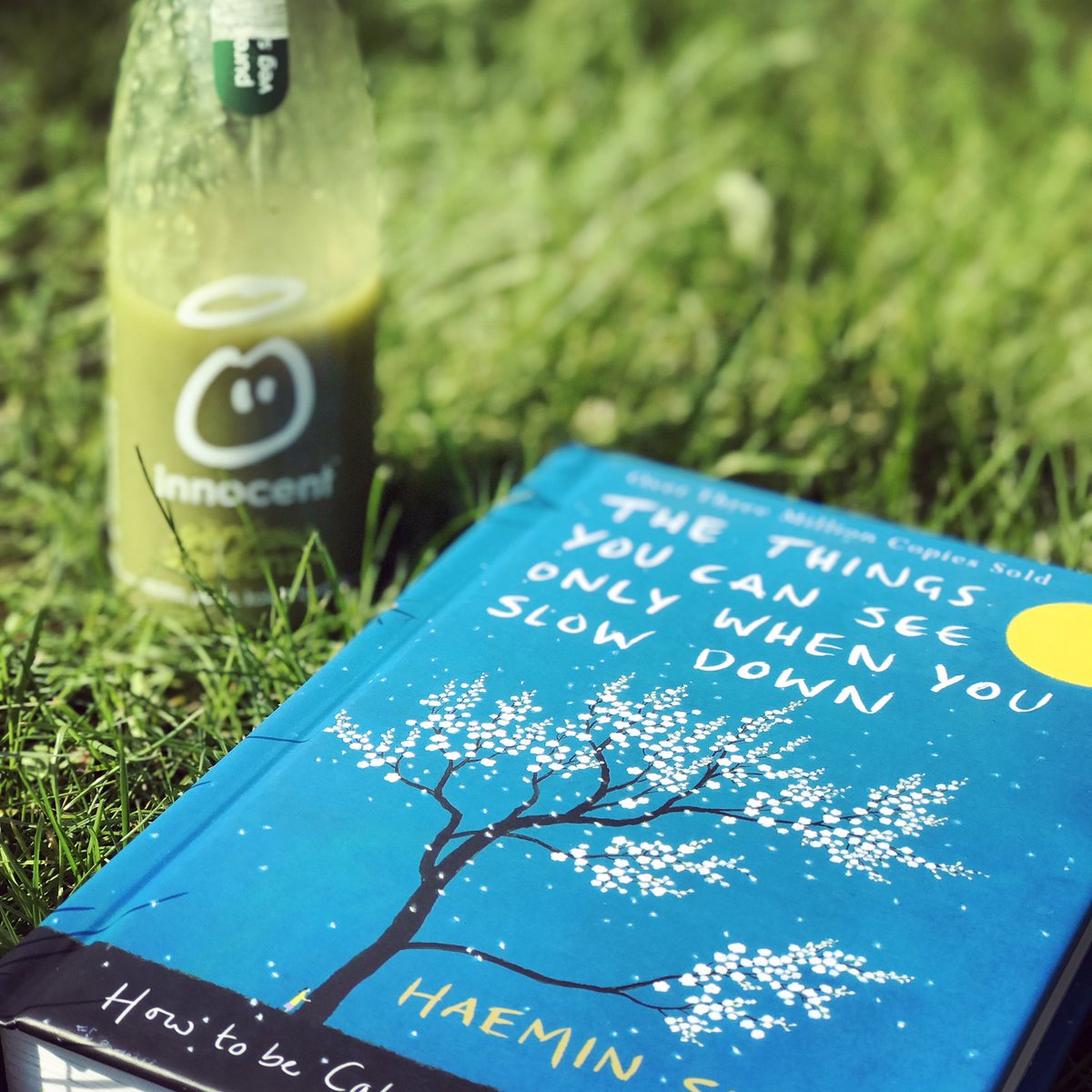 lottie_flint's tweet photo. Loving this book, the best I've found on  mindfulness, being present, content and happy with what life brings you #positivity https://t.co/dBwOorOuzy