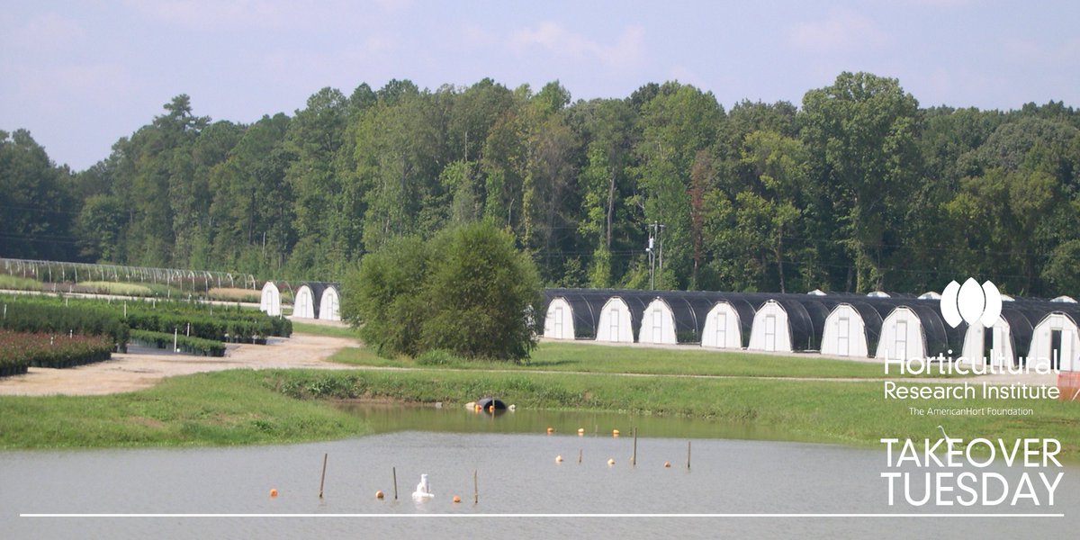 HortResearch's tweet photo. Knowing pathogen population dynamics helps growers set up a pump house with minimal pathogen risk. #GrowHort @VTPPWS https://t.co/m6bg9lIPQX