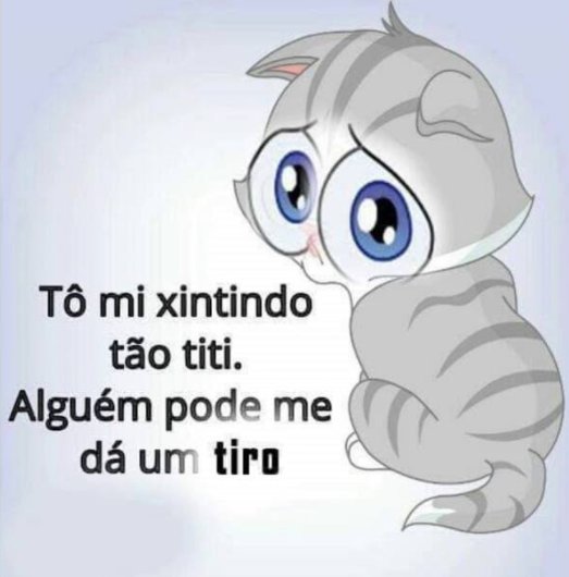 paiva's tweet photo. https://t.co/6ZFyQdgWsw