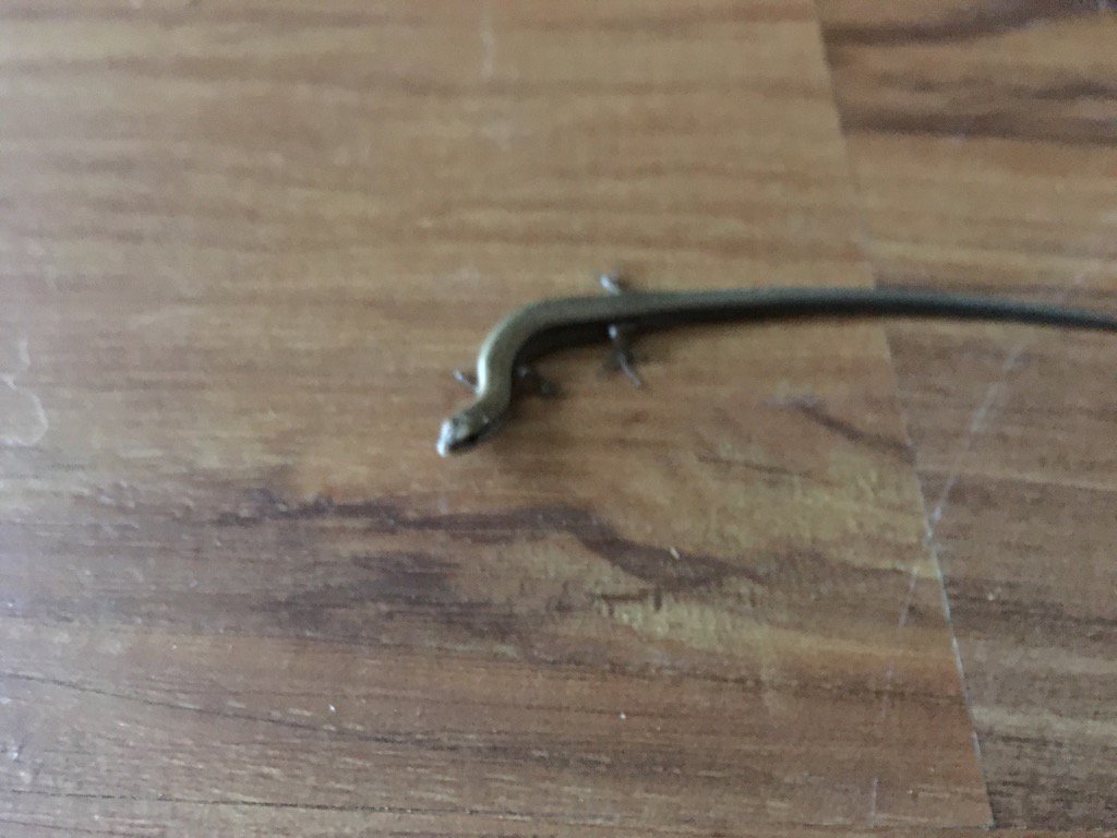 Destieve's tweet image. Really? Just make yourself at home!!! UGH!