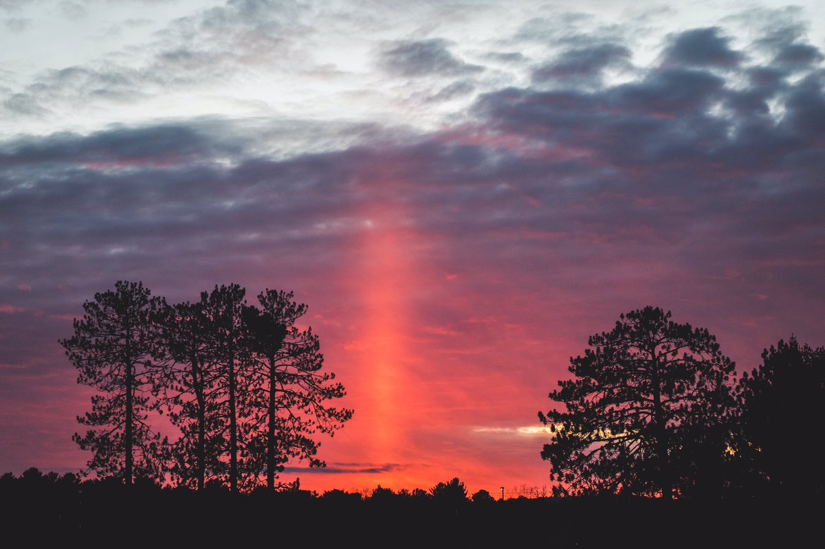 samwilliamsmqt's tweet photo. Damn nature you crazy 😂 #nmu https://t.co/Iu0bdbFVvi