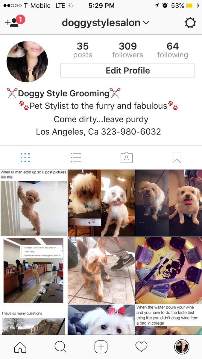 doggy style salon