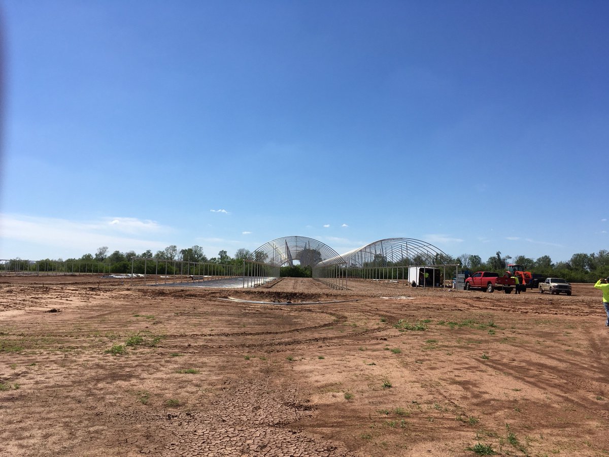 JacksonAgro's tweet photo. Hanging trusses and installing purlins at Creekside Nursery. @AtlasGreenhouse https://t.co/4FZ1Kk0BIv
