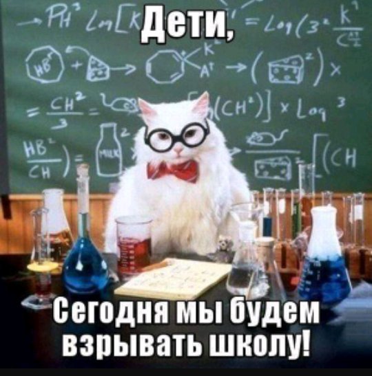 MrAlexey2 tweet picture