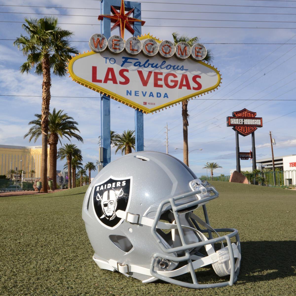REBELTV's tweet photo. @RAIDERS Are Coming! #RaidersAreComing To Vegas! In 2021 it will be @NFL @SuperBowl LV 55 in @Vegas #SuperBowlLV #BuildThatStadium @boa Now! https://t.co/2vdIzECMTq