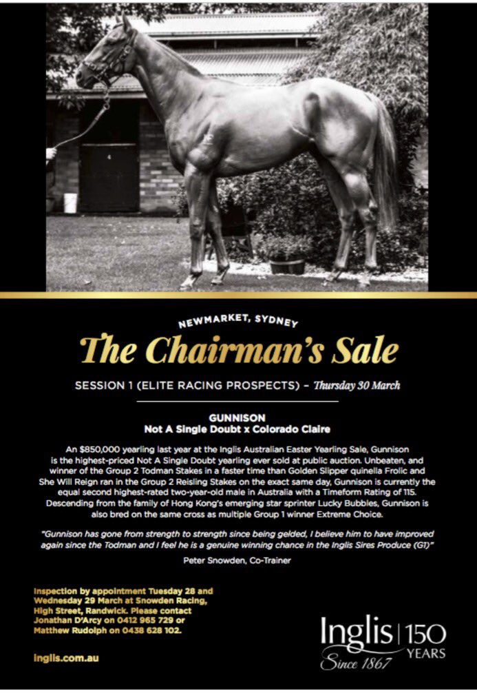 Unbeaten gelding Gunnison added to Thursday's <a href="/inglis_sales/">Inglis</a> The Chairman Sale - Inspections begin TODAY by appointment