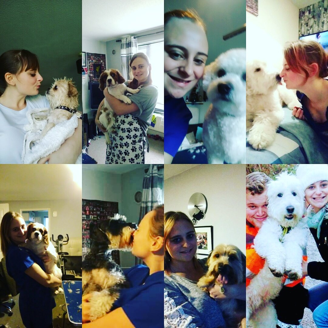 FranksDgcs's tweet photo. #love my customers, and a good #selfie 🐕💞 #doggroomer #selfemployed #Franksdgcs #whitstable #lovemyjob #lovedogs #grooming 🚿✂️🐶 https://t.co/jsqCssc2JQ