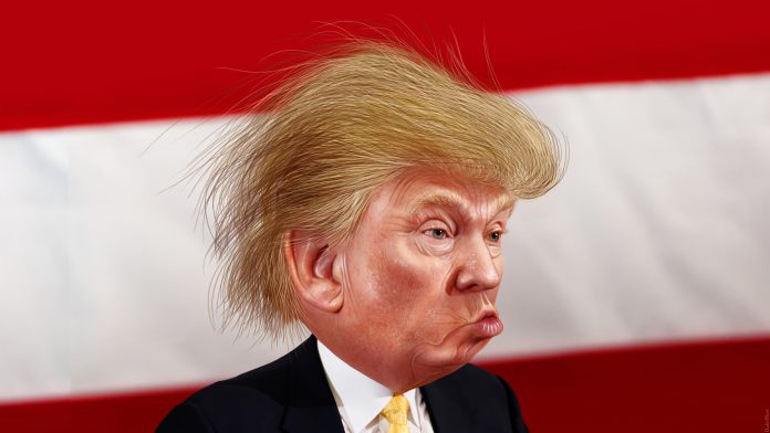 TrumpLetUsDown's tweet photo. How on earth is Trump still in office? He's done nothing but make our country ridiculous and fractured it to the core. #impeach #resist https://t.co/P8VcNlwTnY