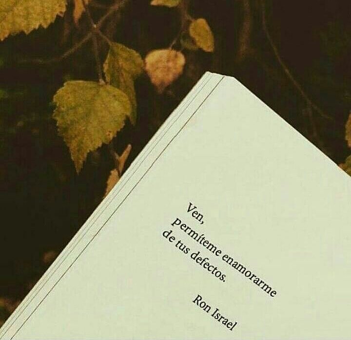 invademimaginac's tweet photo. #Ven, #permiteme #enamorarme #de #tus #defectos... #RonIsrael #invademimaginacion #convertidos #en #poema https://t.co/iy8YowBBcf