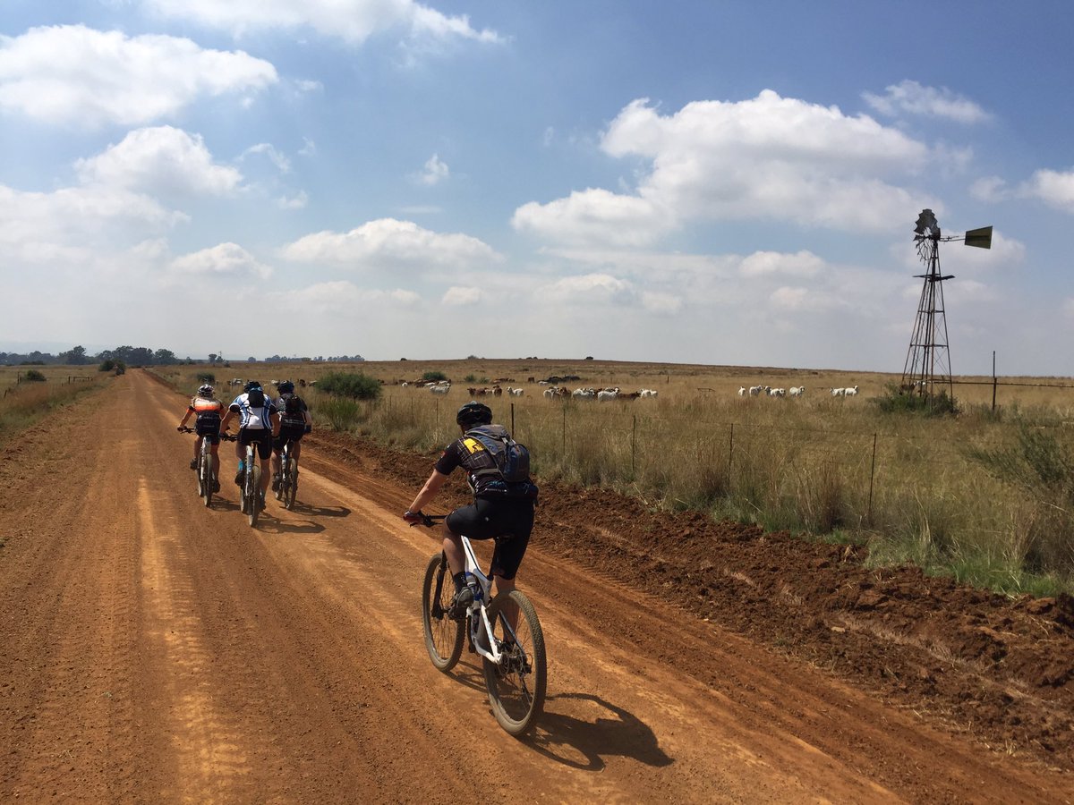 MAD2Cycle tweet media