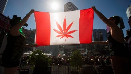 kayswizz33's tweet photo. Marijuana could be legal by Canada Day 2018 https://t.co/L6RTEcIfEK by #Met4morphoses via @c0nvey https://t.co/MBBKwkvrJg