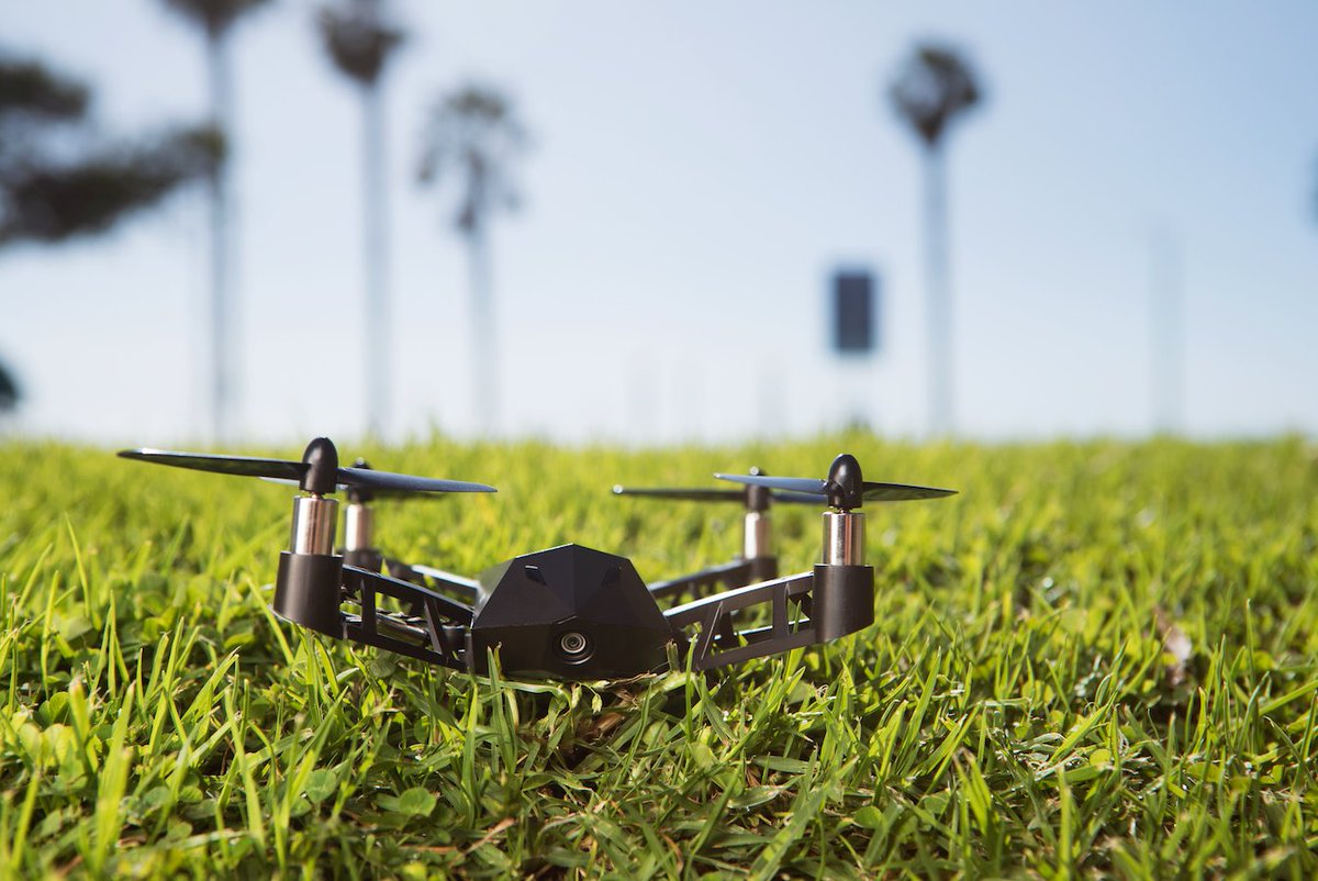 No hassle. Lots of fun.