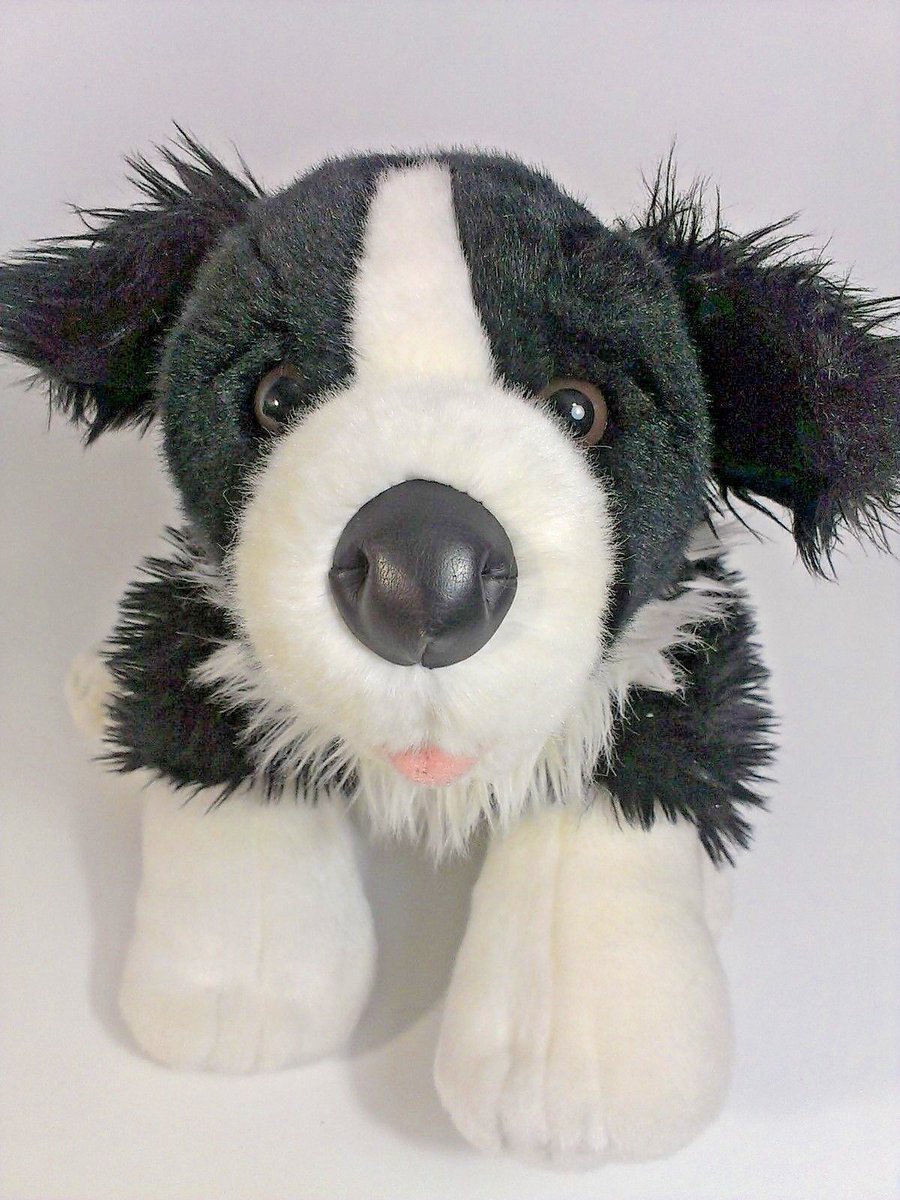 STEEL5757's tweet image. BORDER COLLIE Plush ebay.com/itm/Build-a-Be…?   #toyplush #feltplushie #plushsize #plushforsell