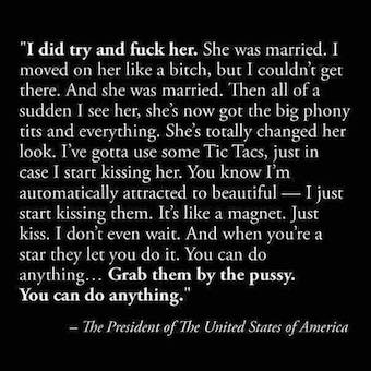 ShirlAAdams's tweet photo. @marciemacdb @jimmyhawk9 YES and too numerous to mention but #45 is by far the WORST! #TrumpIsPerverted https://t.co/EeX8QXuDE7