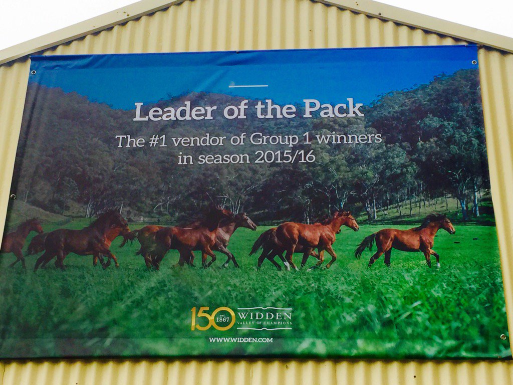 widdenstud's tweet photo. Our 150th Easter Yearling Draft - open for inspection @inglis_sales from 2pm today!
#Widden150 #ValleyOfChampions https://t.co/WS2J7QjmjJ